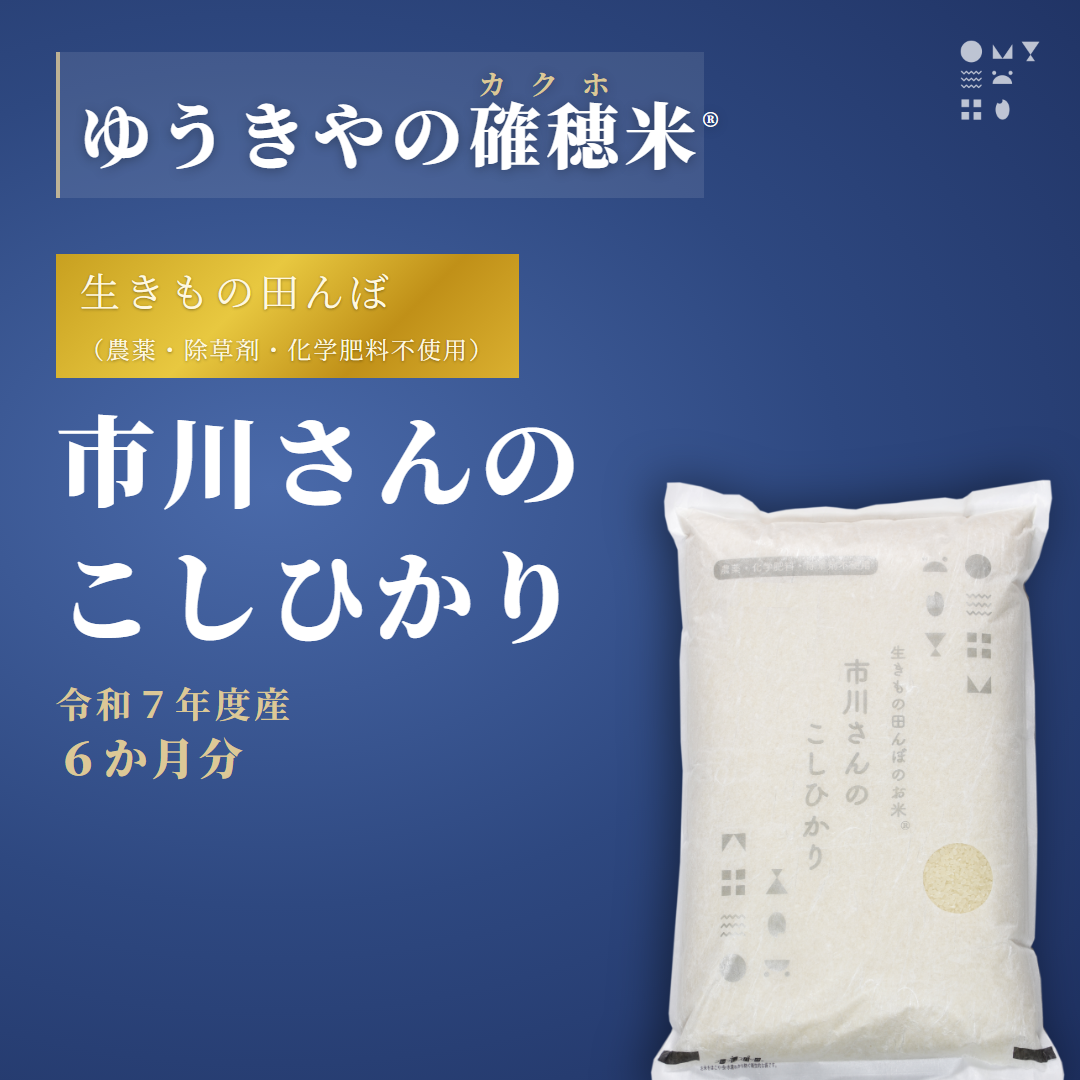 【確穂米】- 生きもの田んぼ（農薬・除草剤・化学肥料不使用） - 市川さんのこしひかり（令和7年度産・6か月分） 精米歩合: 白米, 購入キロ数: 毎月2kg（6か月合計12kg）