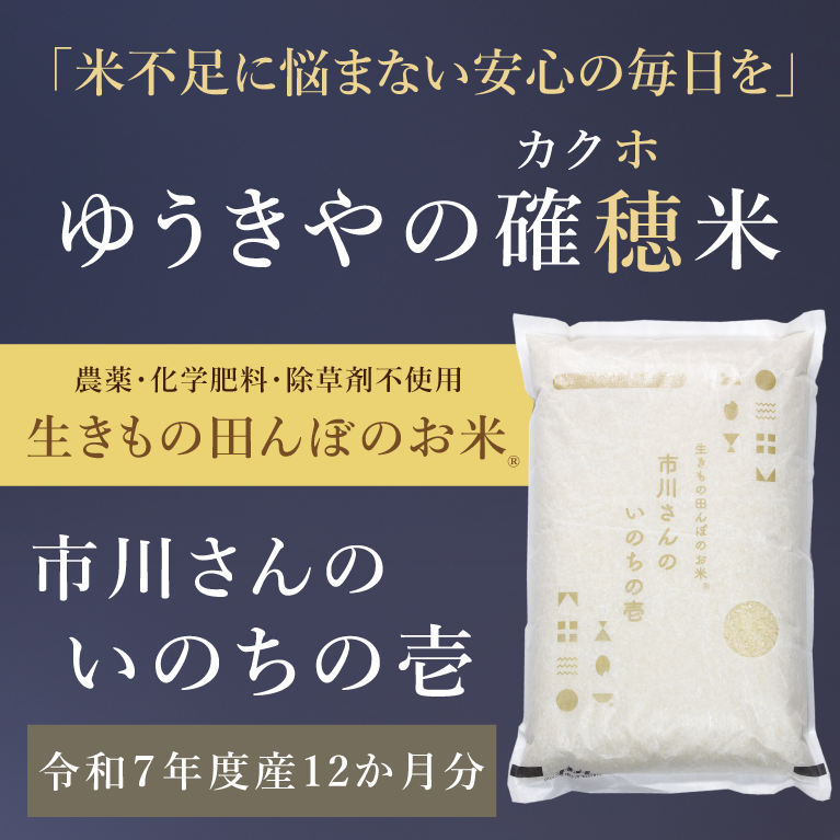 【ゆうきやの確穂米】- 生きもの田んぼのお米 - 市川さんのいのちの壱（令和7年度産）
