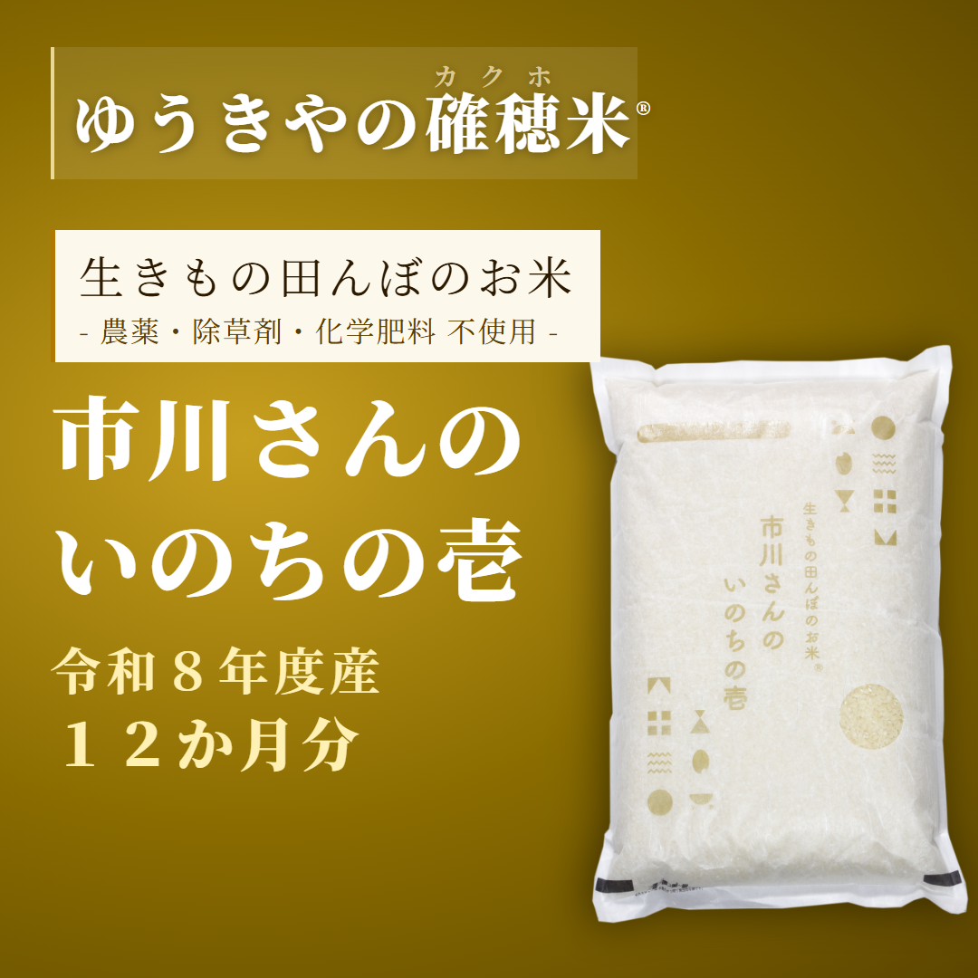 【確穂米】- 生きもの田んぼのお米 - 市川さんのいのちの壱（令和8年度産・12か月分） 精米歩合: 白米, 購入キロ数: 毎月2kg（12か月合計24kg）