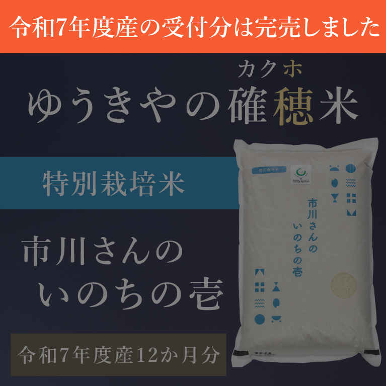 【ゆうきやの確穂米】- 特別栽培米 - 市川さんのいのちの壱（令和7年度産） 