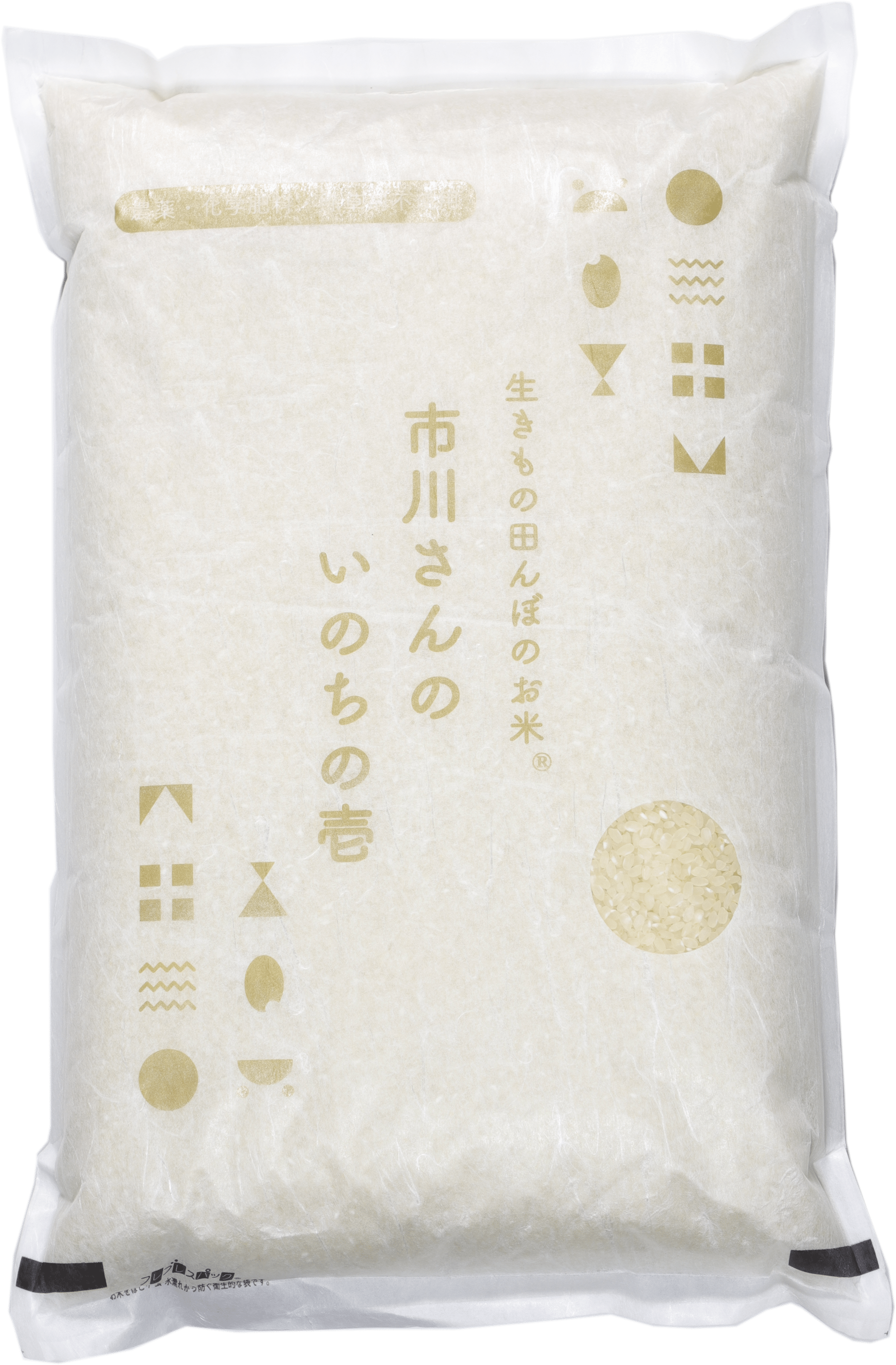 生きもの田んぼ いのちの壱