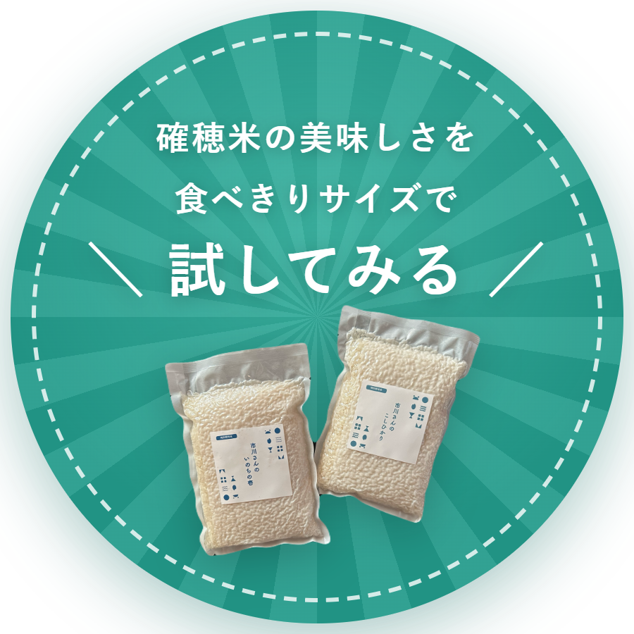 お試しセットへ