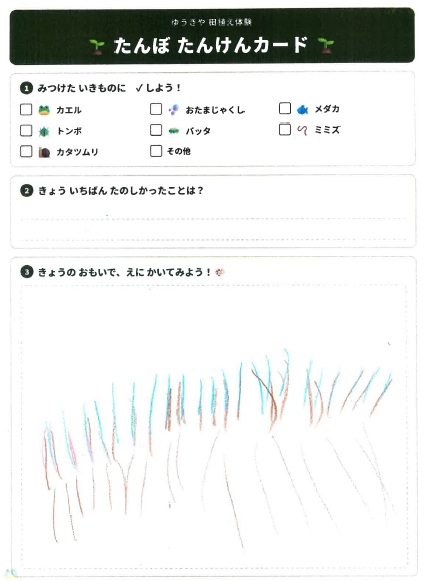 子どもたちの絵