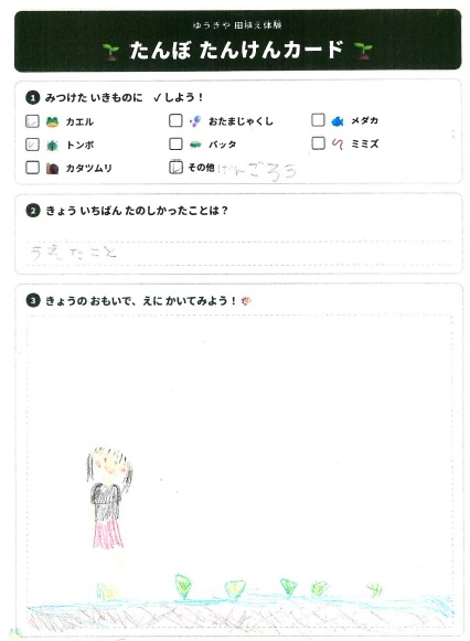 子どもたちの絵
