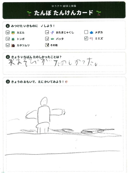 子どもたちの絵