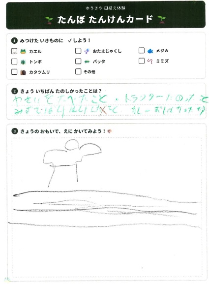 子どもたちの絵