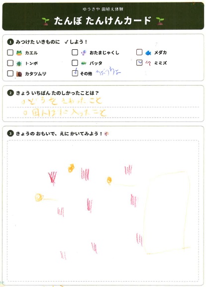 子どもたちの絵