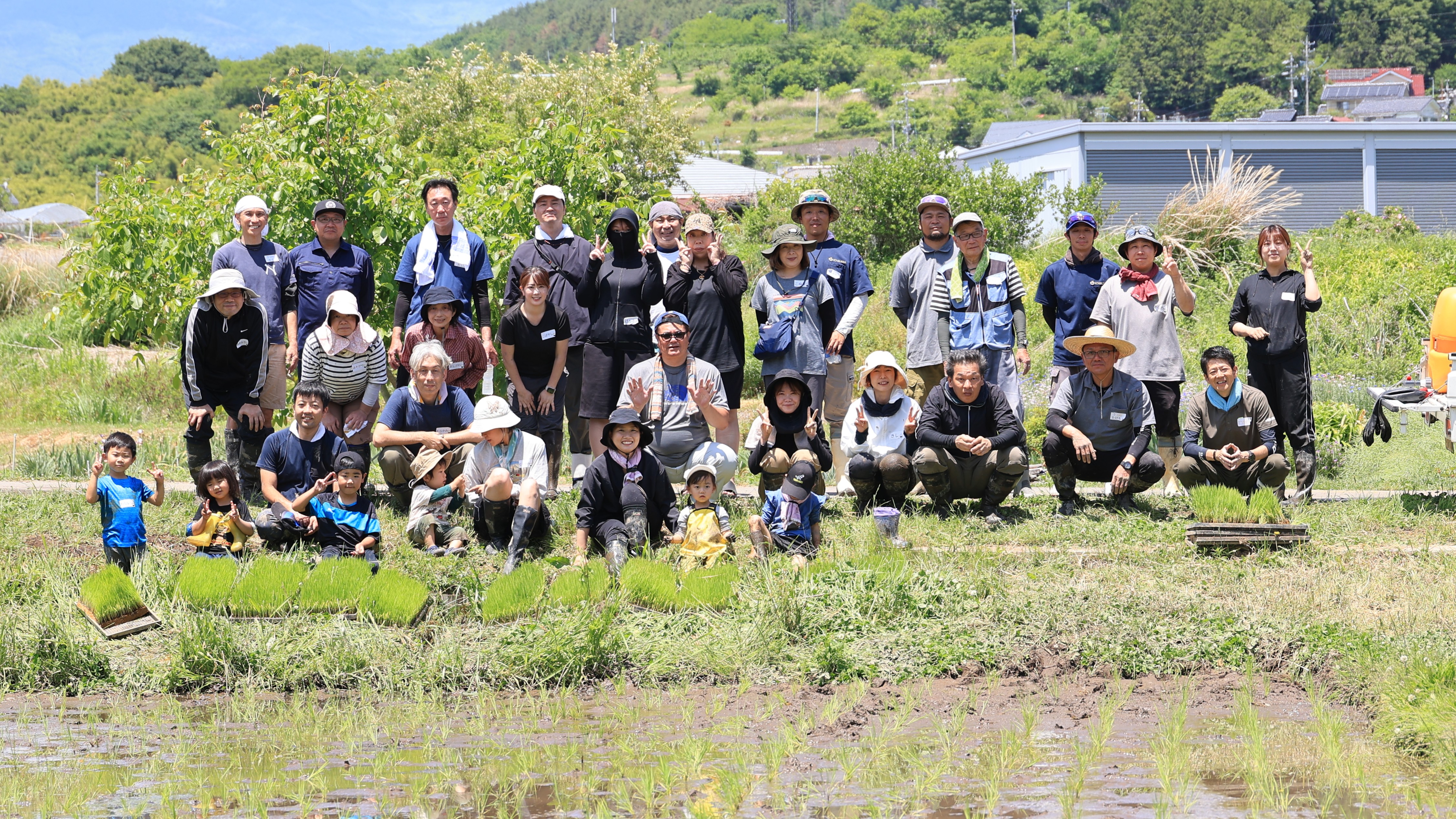 生きもの田んぼでの田植えの様子