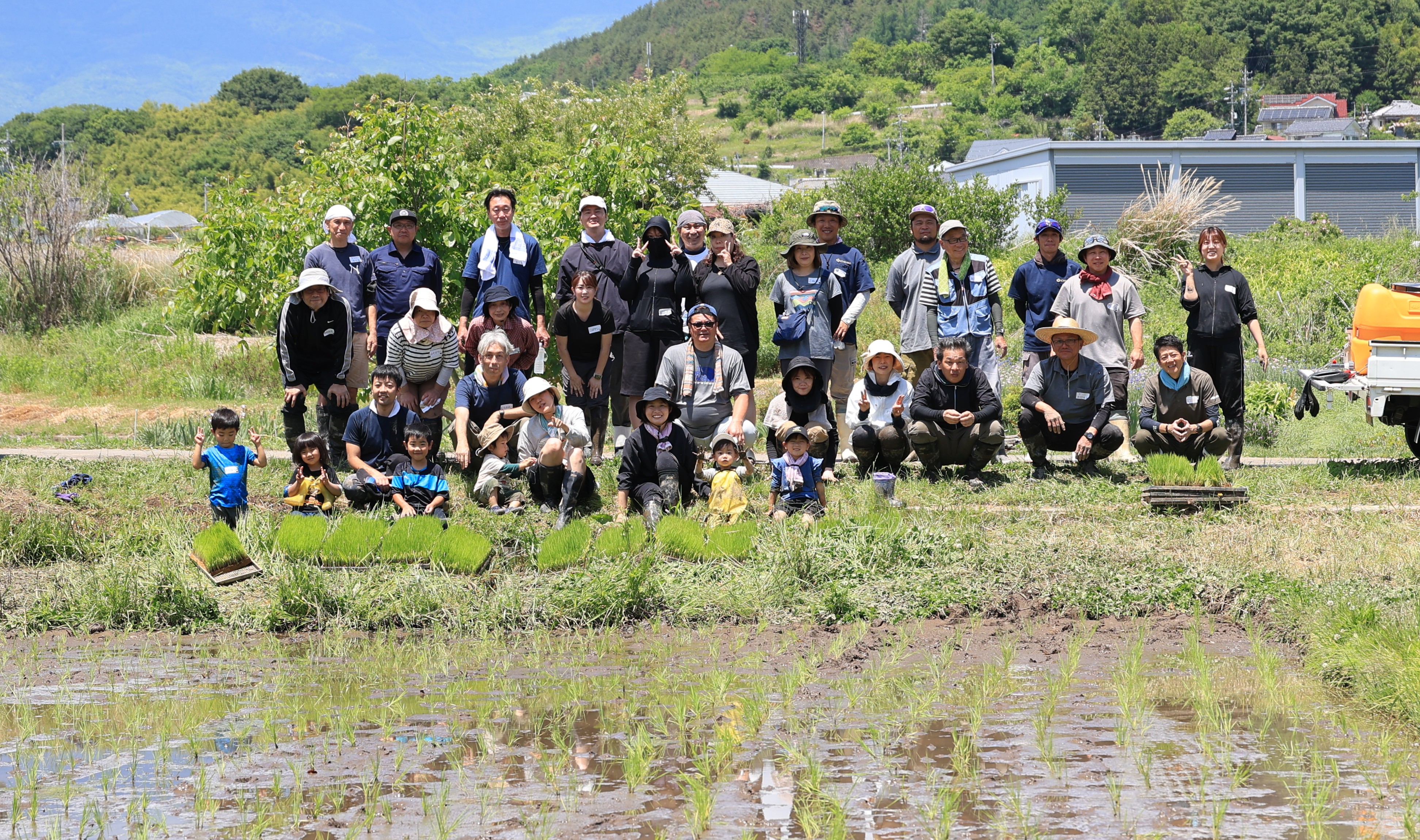 生きもの田んぼでの田植えの様子