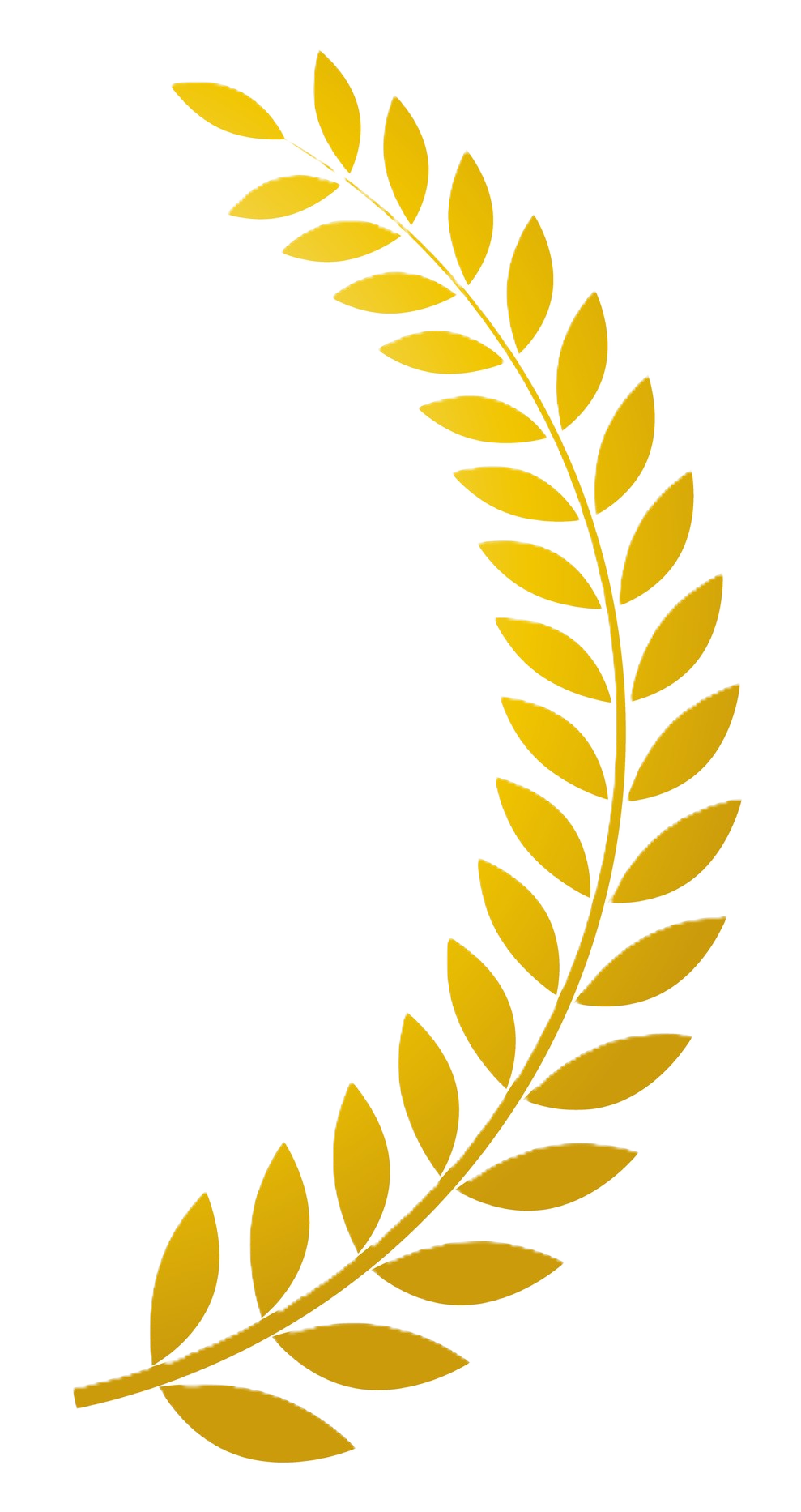 月桂冠 右
