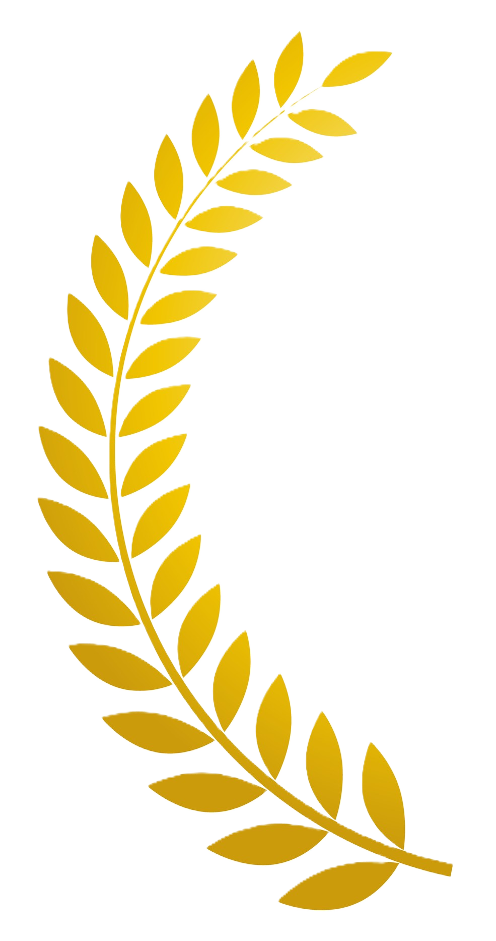 月桂冠 左