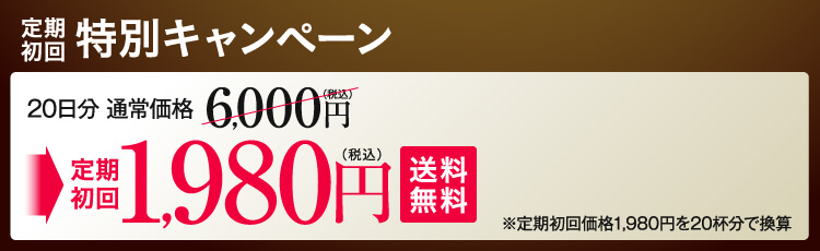 定期初回 特別キャンペーン