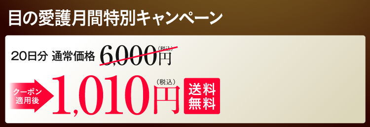 定期初回 特別キャンペーン