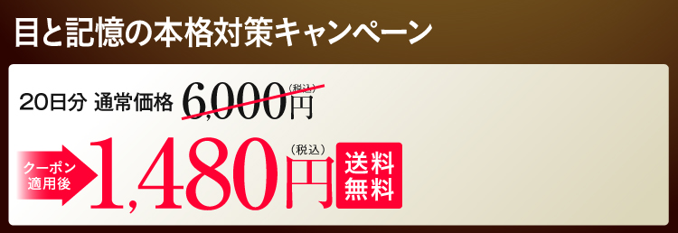定期初回 特別キャンペーン