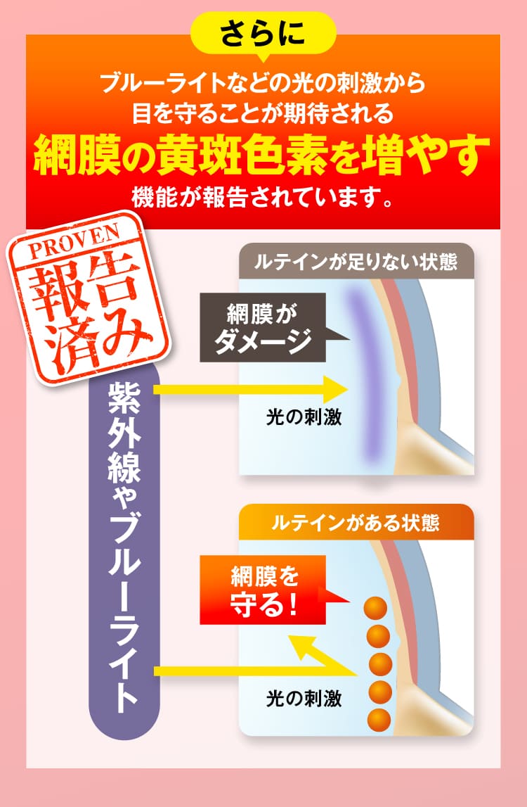 網膜の黄斑色素を増やす