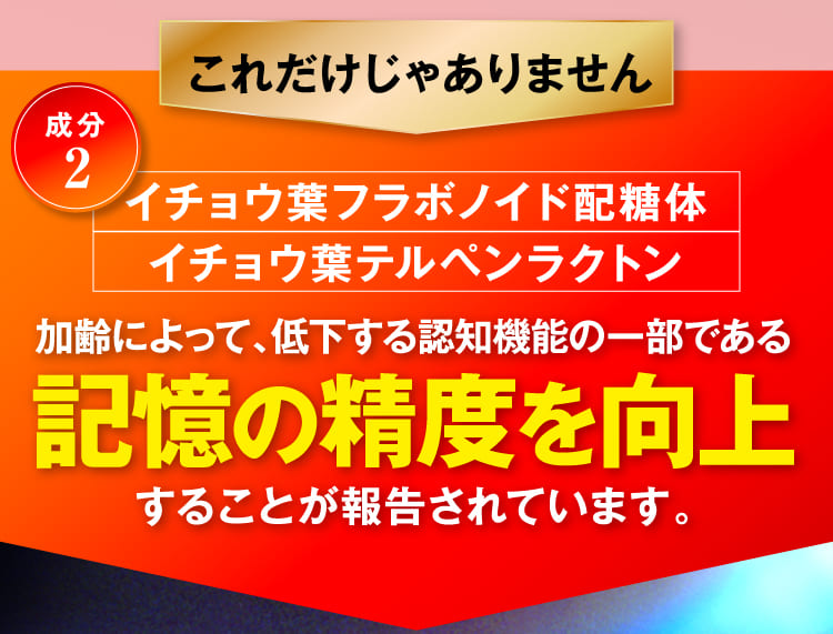 記憶の精度を向上
