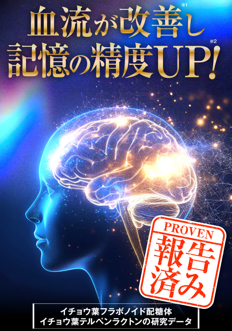 血流が改善し記憶の精度UP！