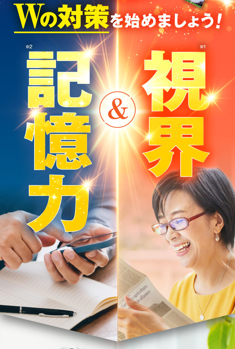 視界 記憶