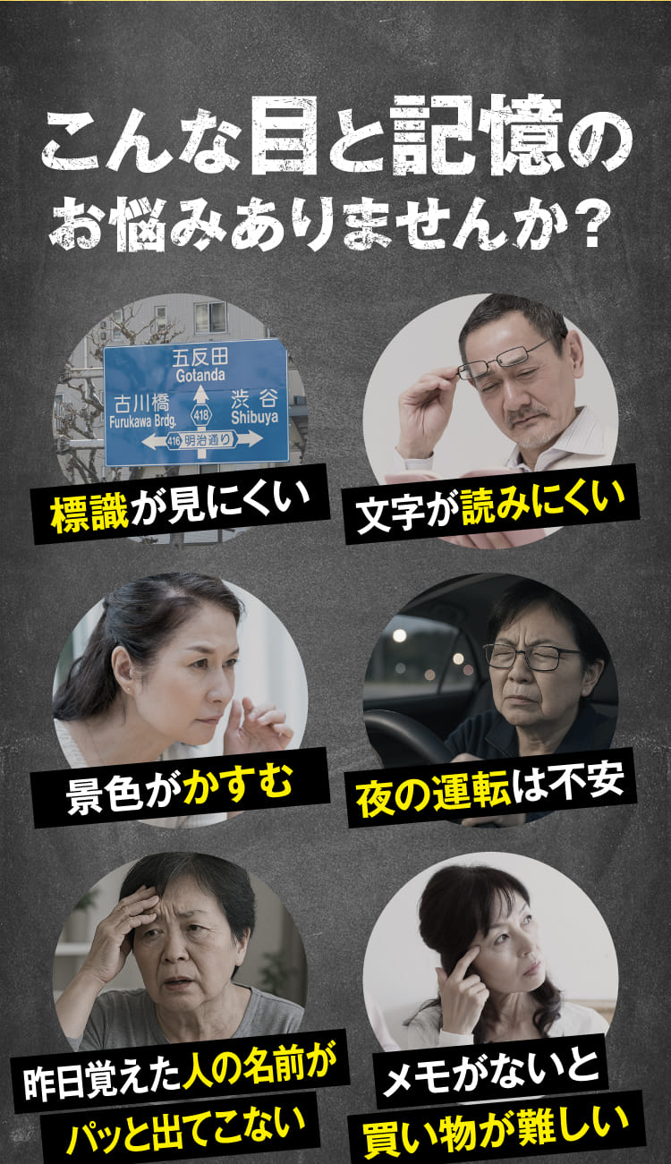 こんな目と記憶のお悩みありませんか？