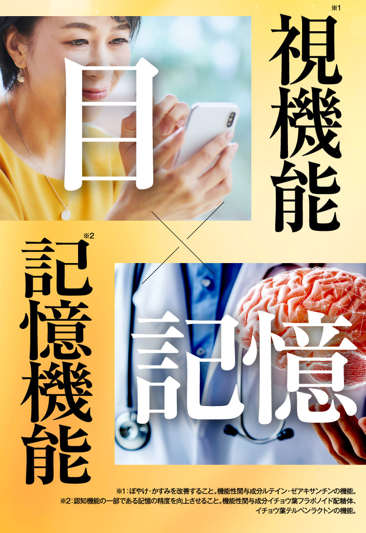 視機能 記憶機能
