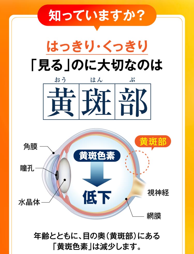 知っていますか？