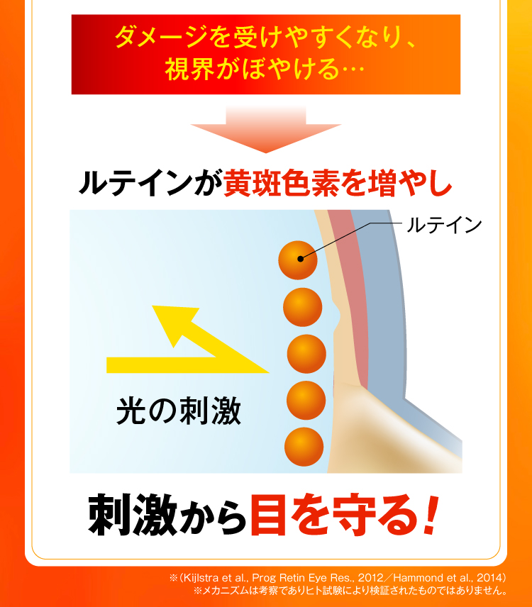 ルテインが黄斑色素を増やし