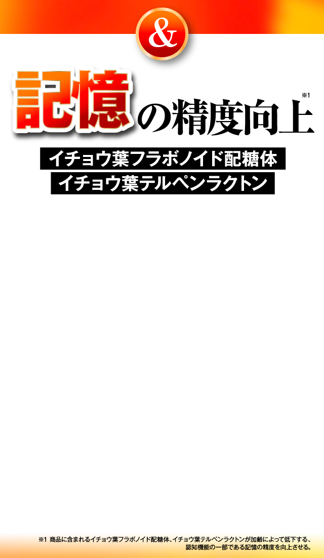記憶の精度向上