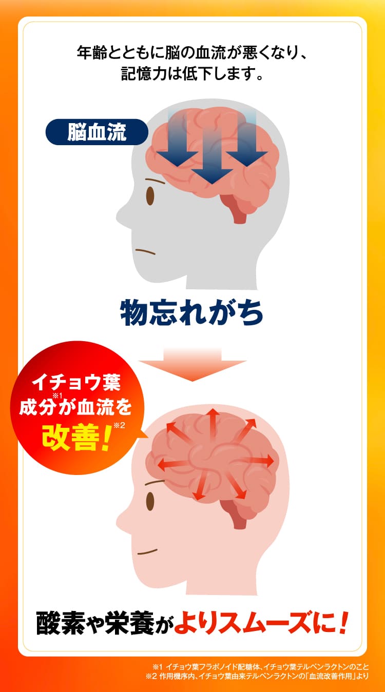 酸素や栄養がよりスムーズに！
