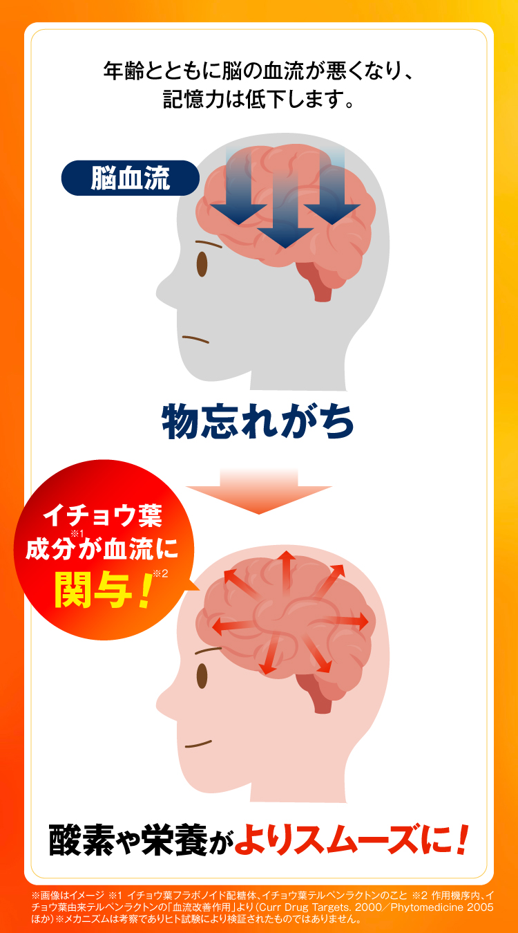 酸素や栄養がよりスムーズに！