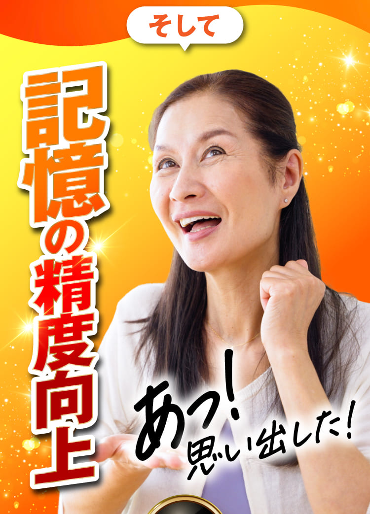 記憶の精度向上