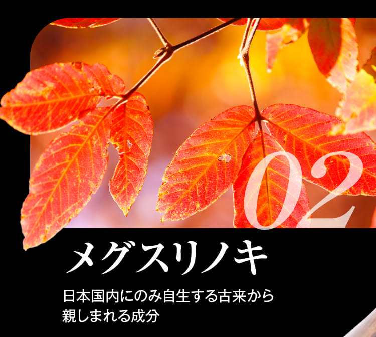 メグスリノキ