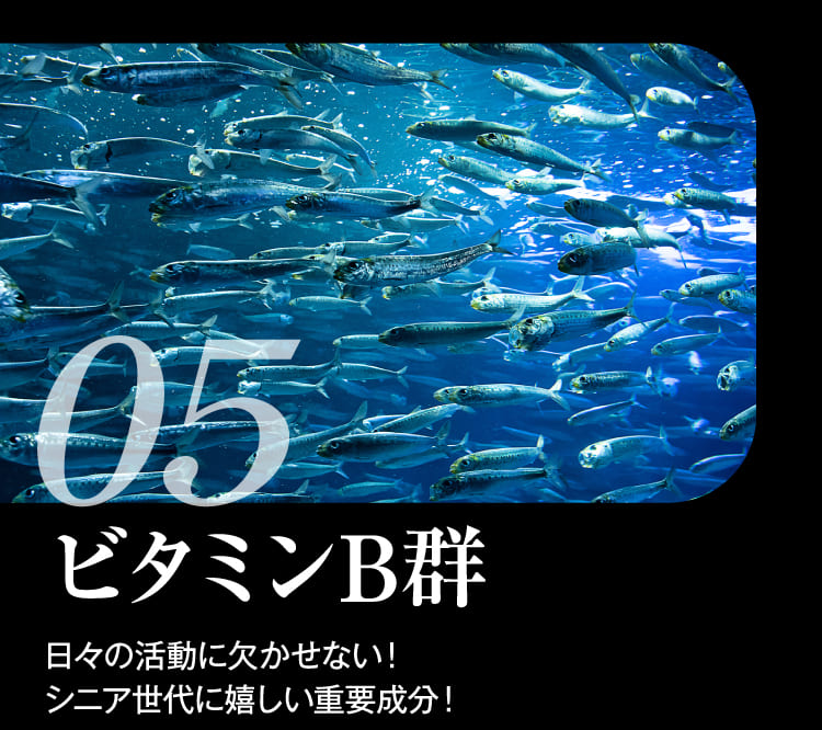ビタミンB群
