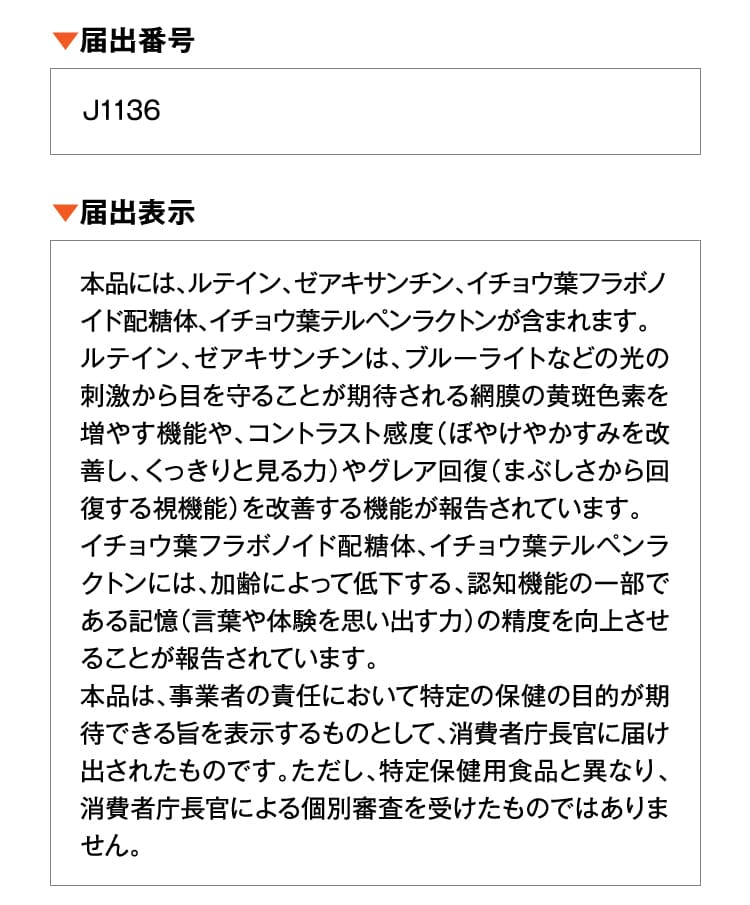 届出番号 届出表示