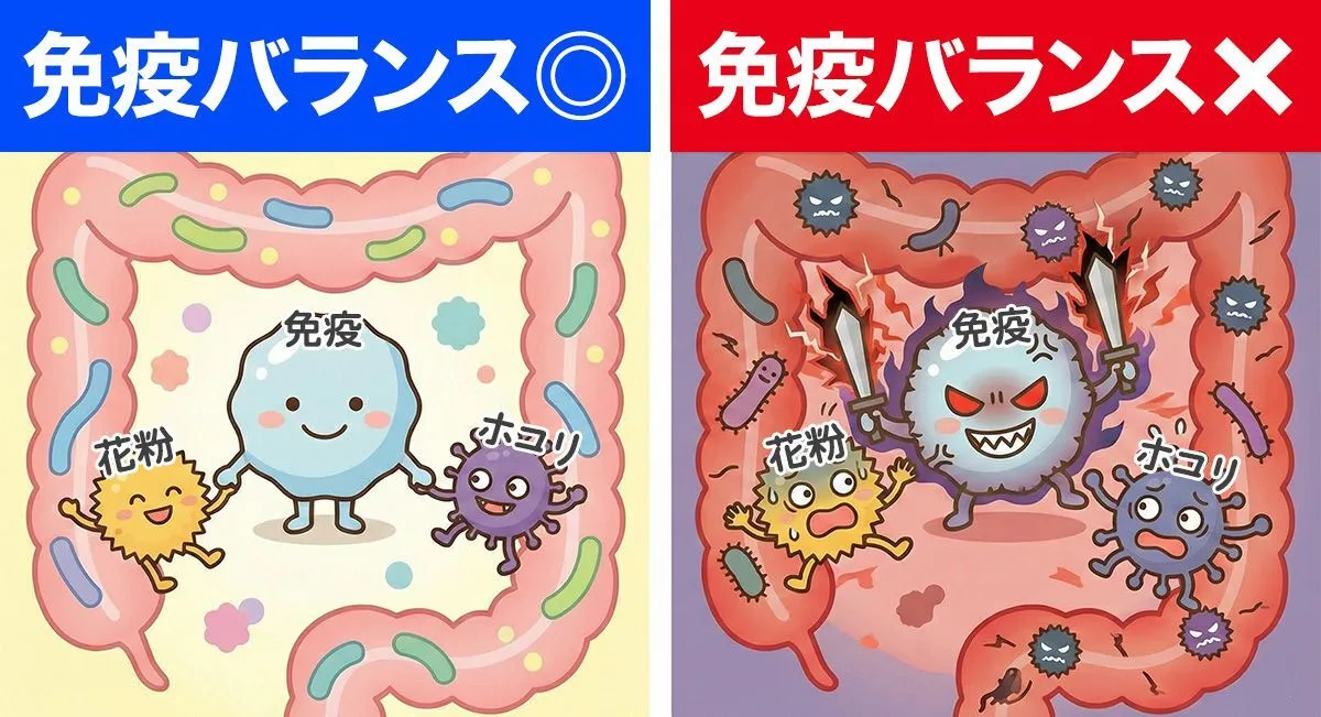 腸と免疫のイメージ