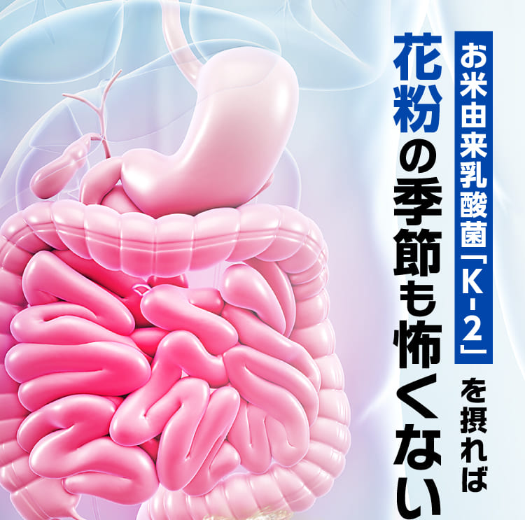 花粉の季節も怖くない