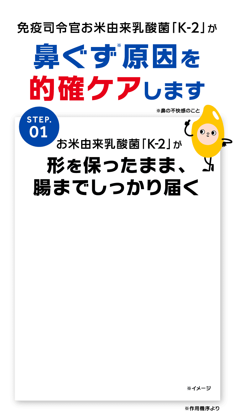 鼻ぐず原因を的確ケアします