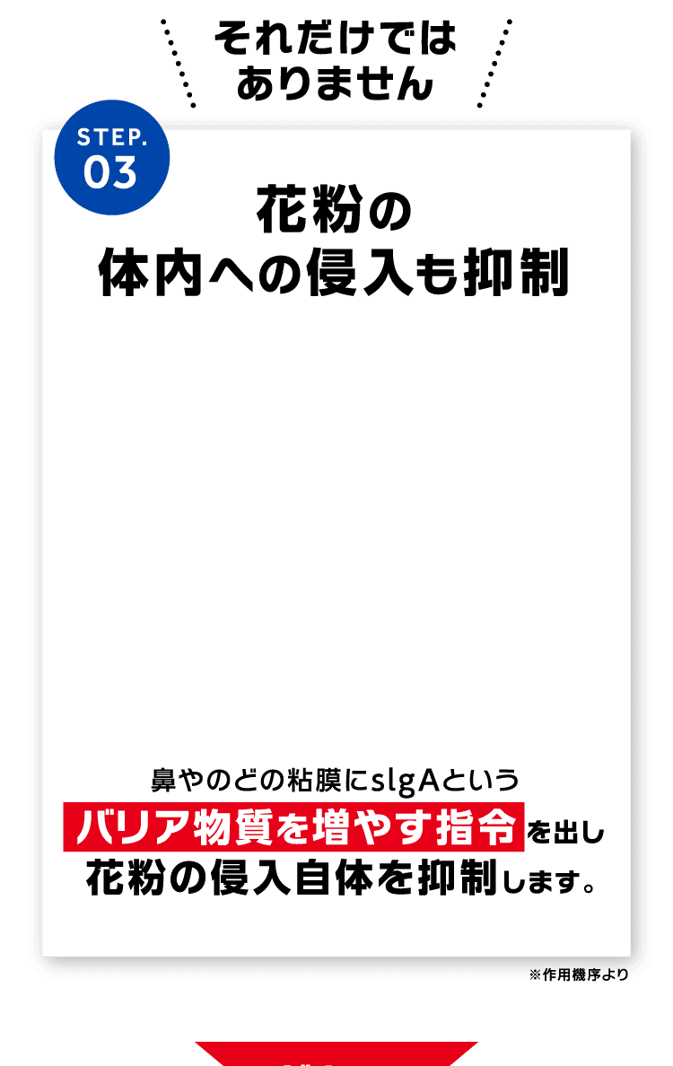 花粉の体内への侵入も抑制
