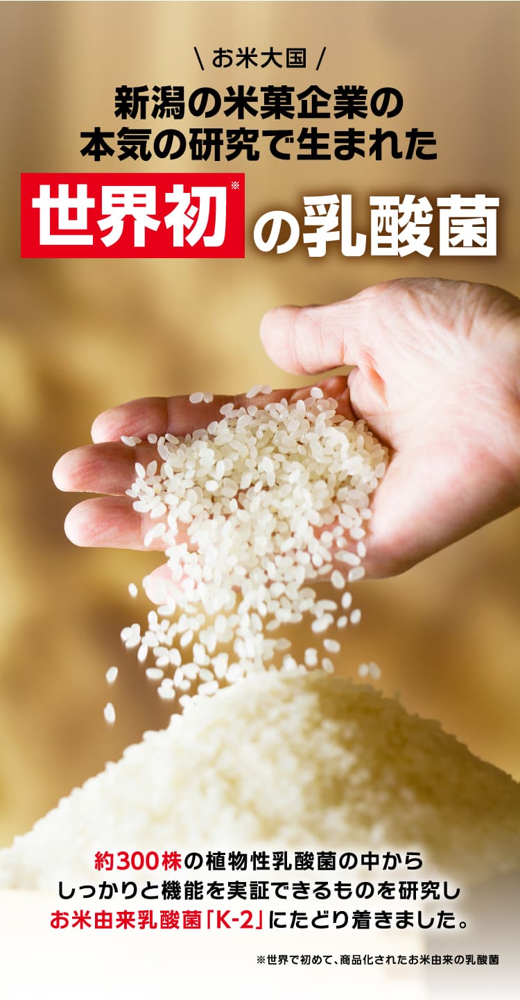 世界初の乳酸菌