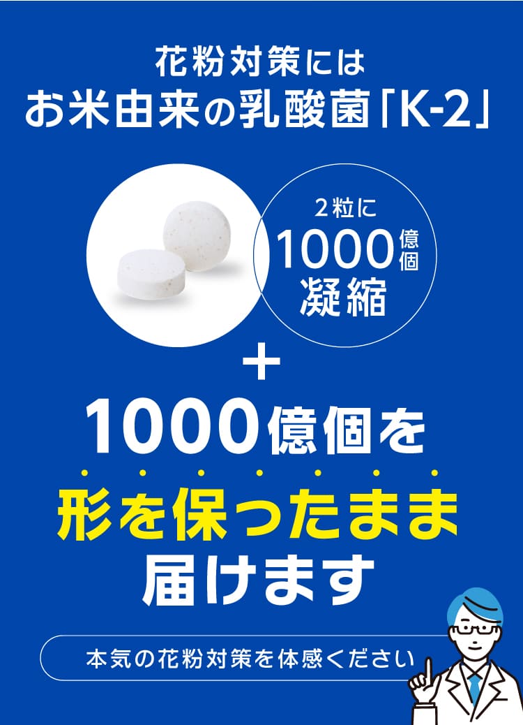 お米由来の乳酸菌「K-2」