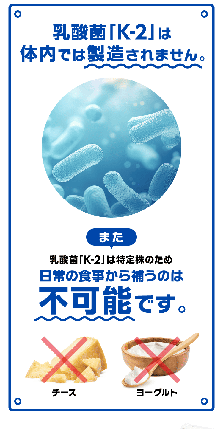 乳酸菌「K-2」は体内では製造されません。