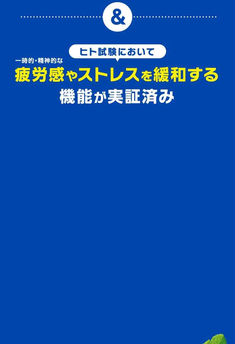 疲労感やストレスを緩和する機能が実証済み
