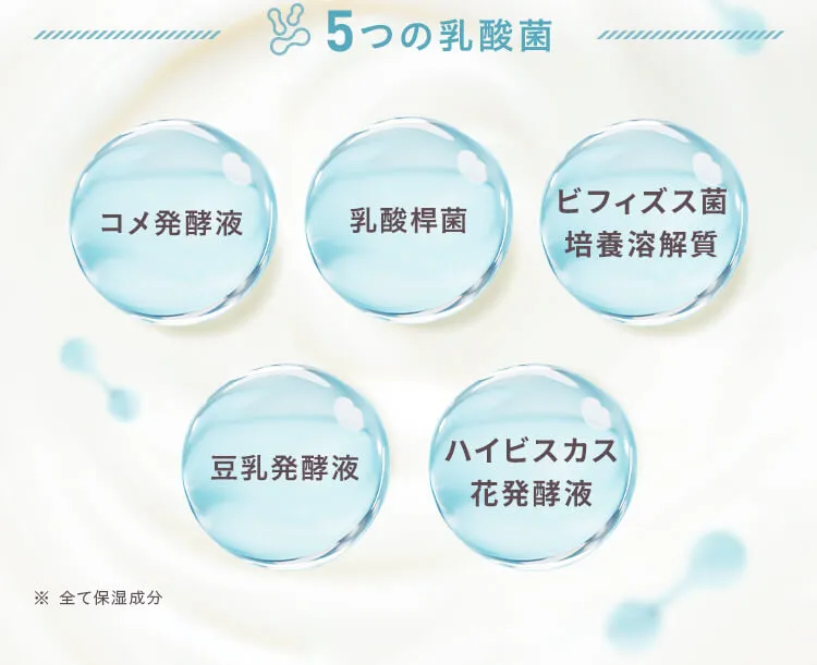 5つの乳酸菌