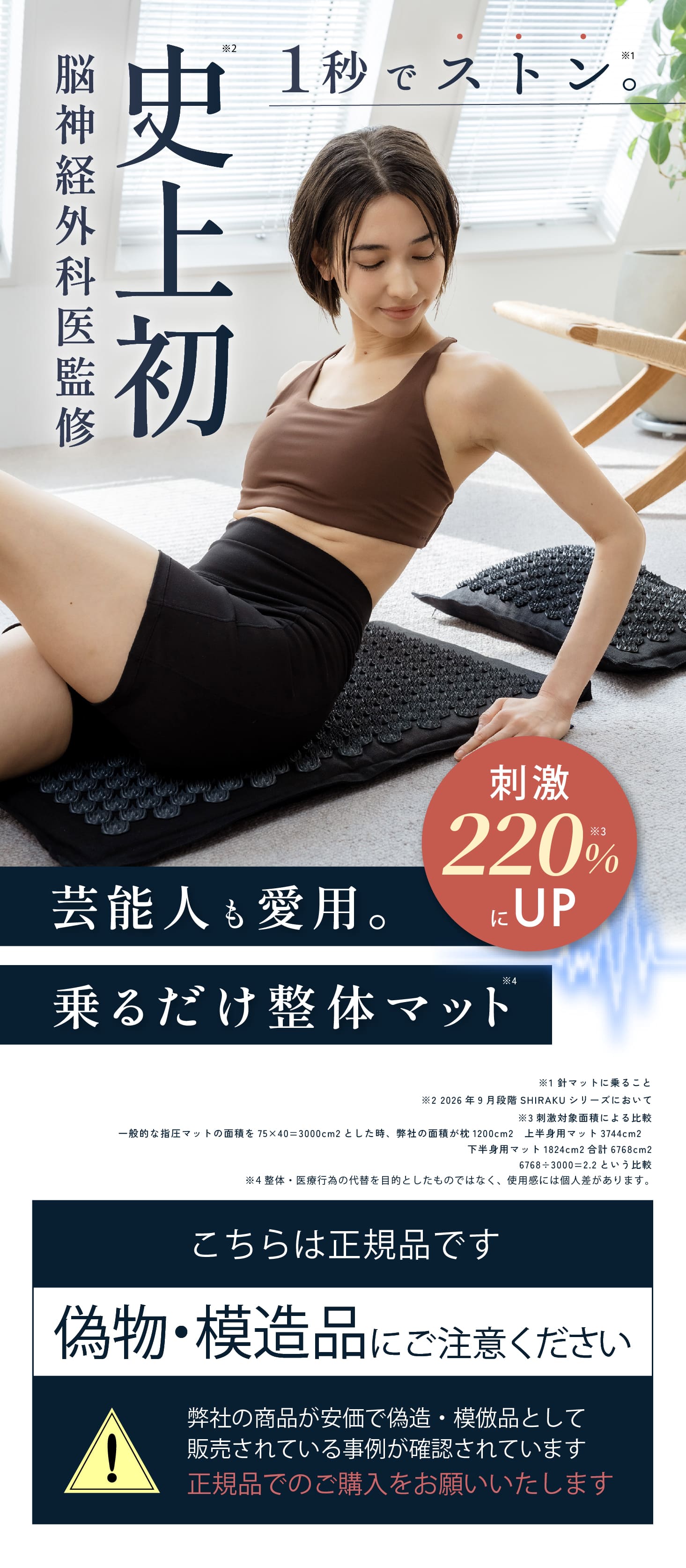 FV画像1