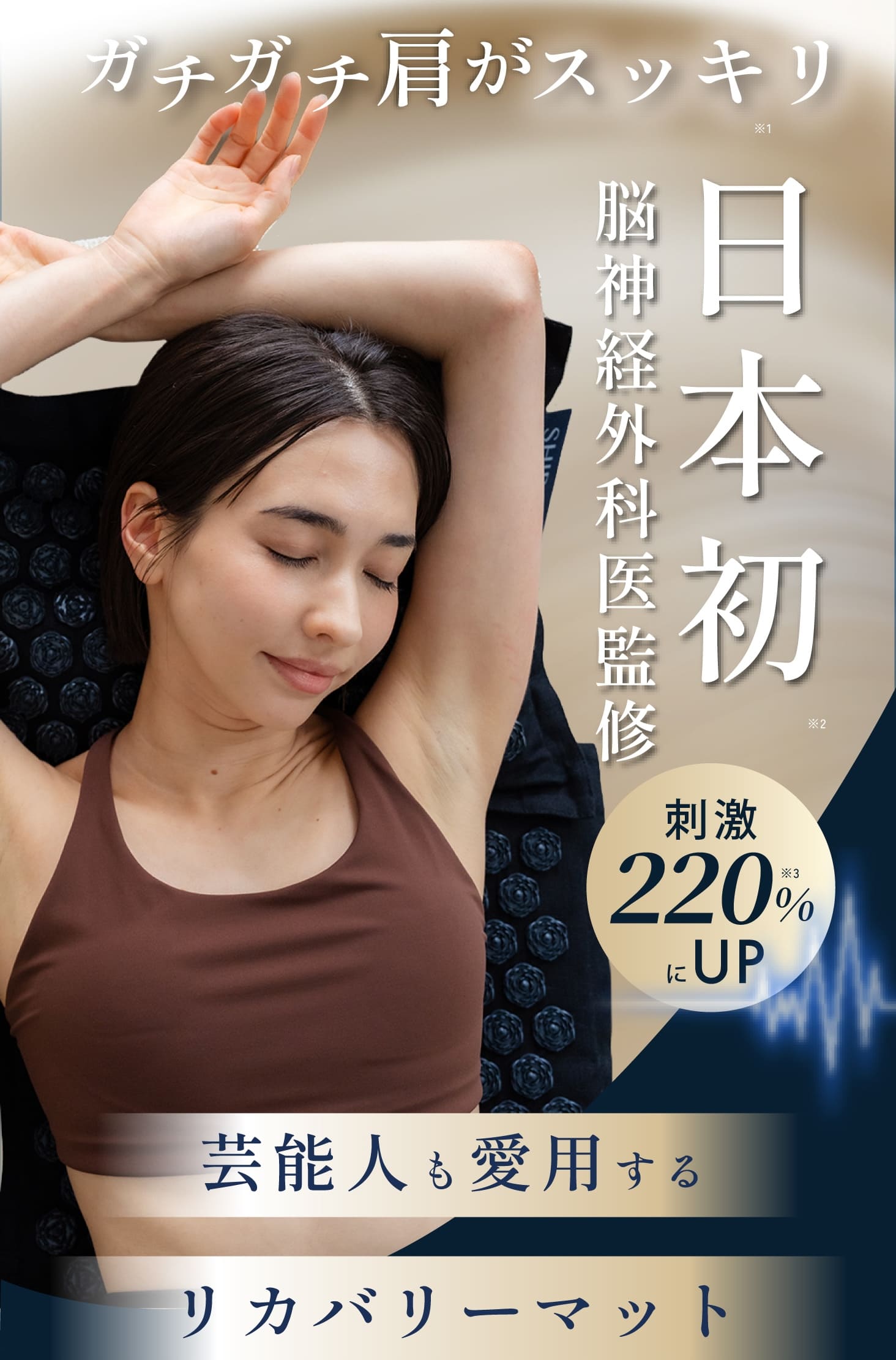 FV画像1