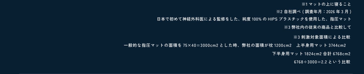 FV画像2