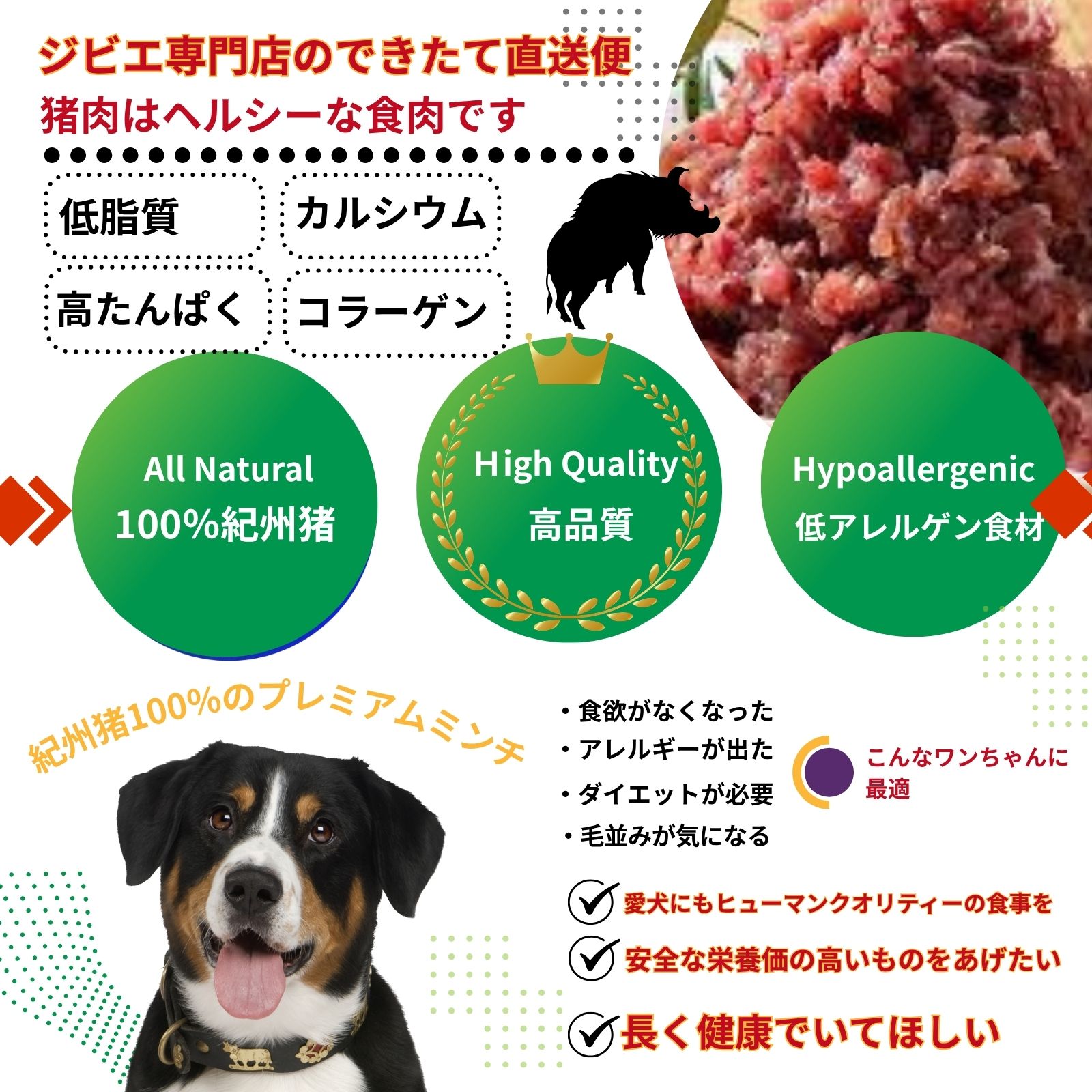 紀州ジビエ /猪肉ミンチ 0.5kg （冷凍） 生肉
