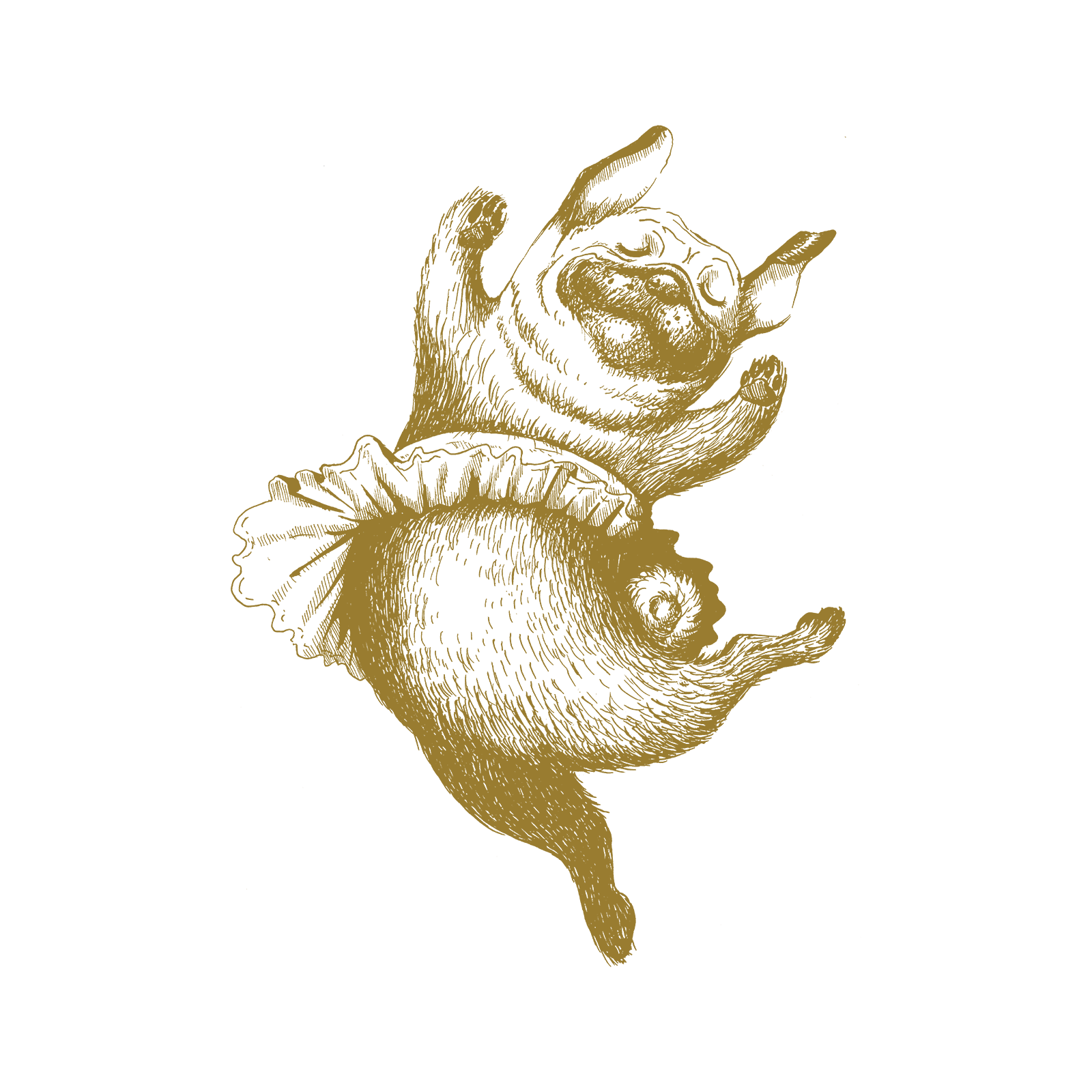 ハーバルヒーローズ プリマバレリーナ