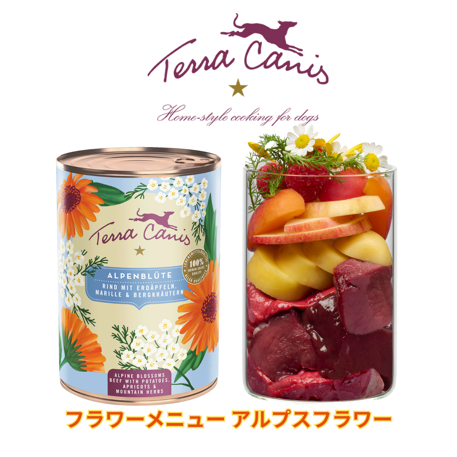 フラワーメニュー アルプス