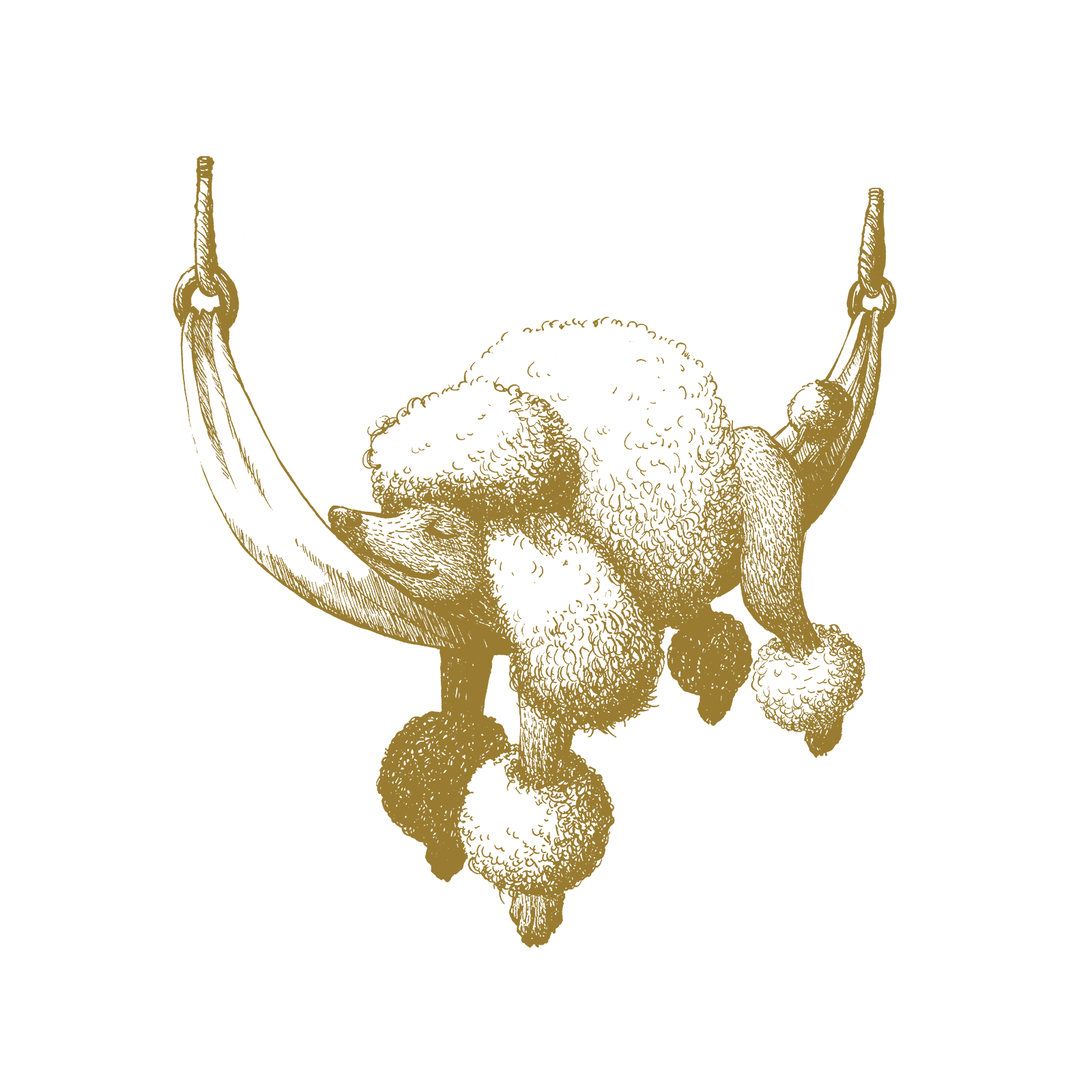 ハーバルヒーローズ ロックアプードル