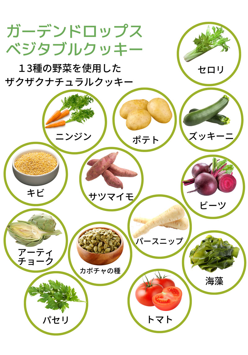 ガーデンスナックベジタブル